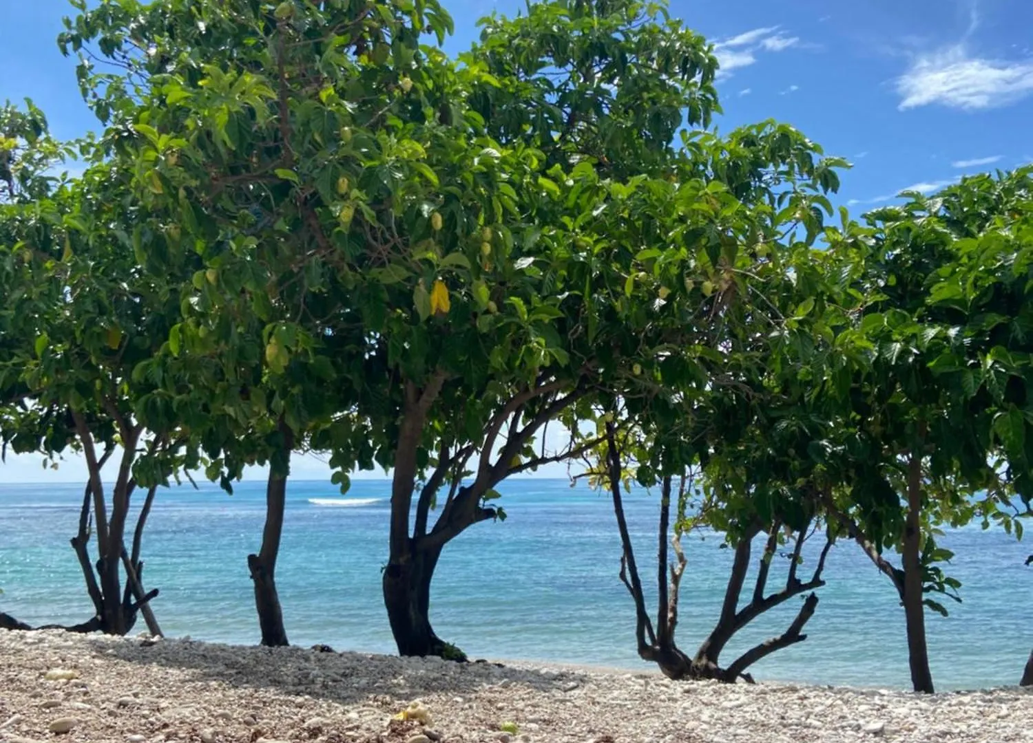 **** Bed & Breakfast Hotel Al Mare Barahona Dominican Republic